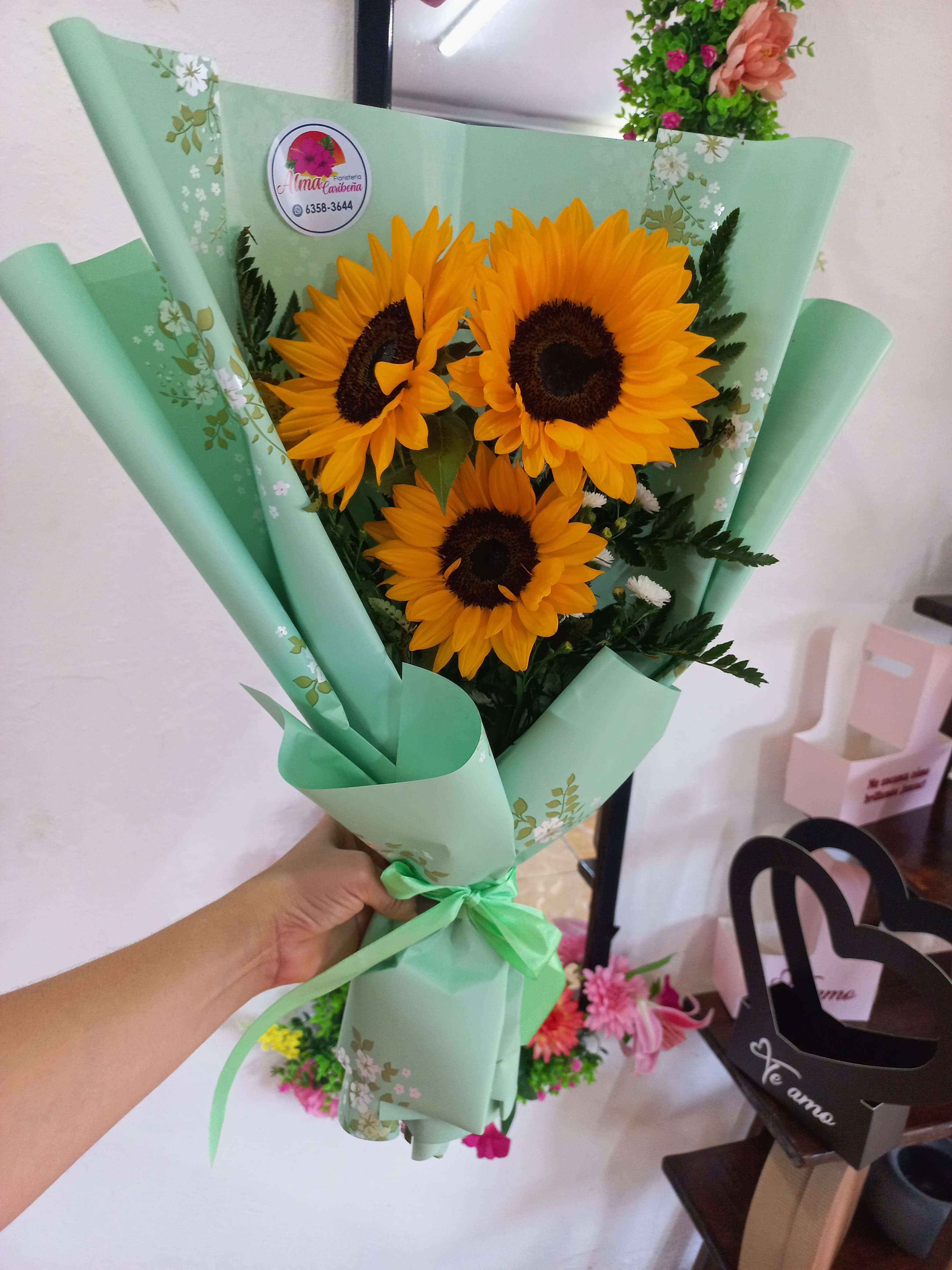 3 Girasoles